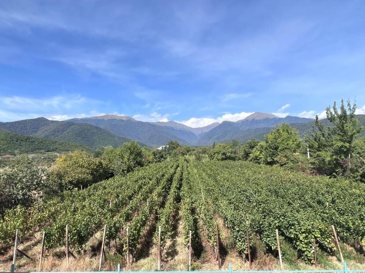 فندق Begaso Family Winery كفاريلي المظهر الخارجي الصورة